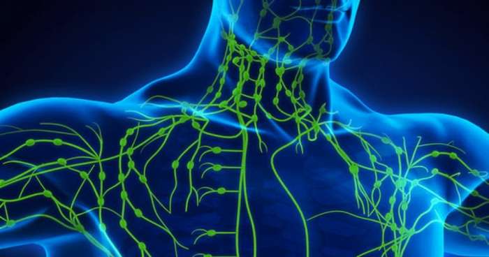 Boosting the Body's Defense