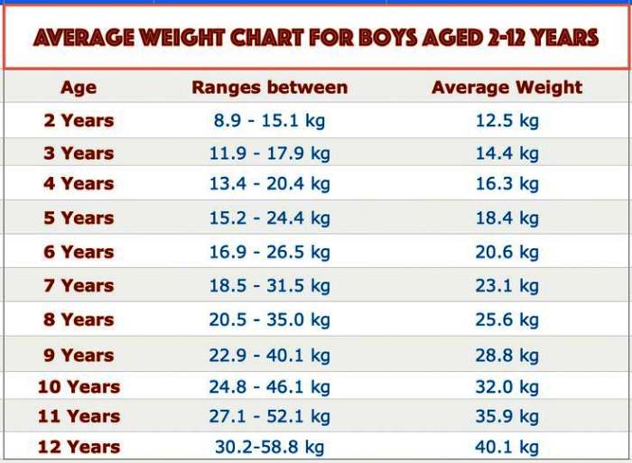 What Is the Average Weight for an 11-Year-Old Boy