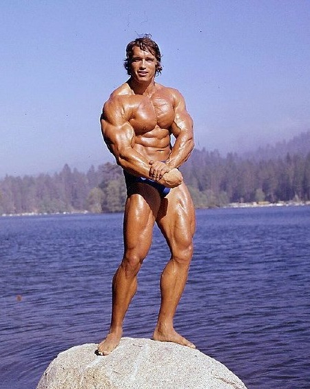 Arnold Schwarzenegger