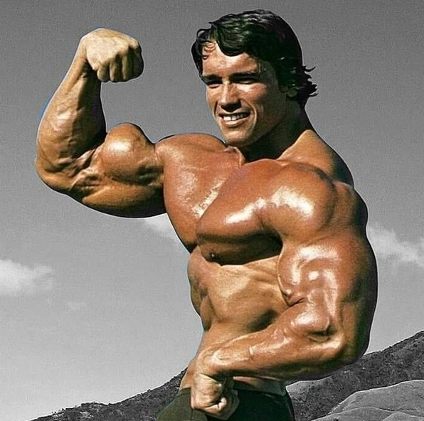 Biggest biceps in the world: Arnold Schwarzenegger