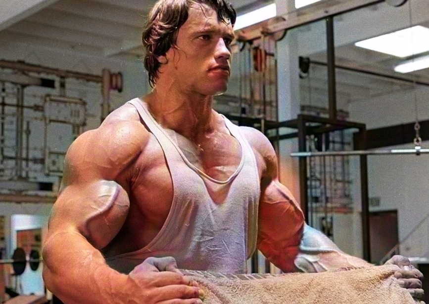 Arnold Workout Split