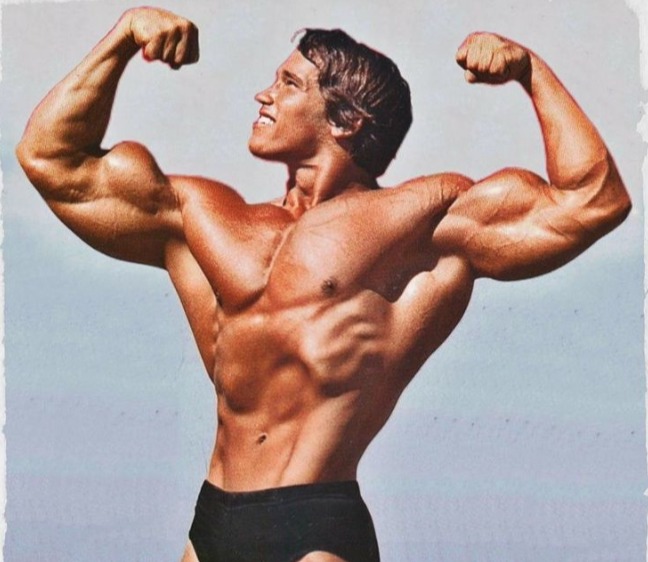 Arnold Split