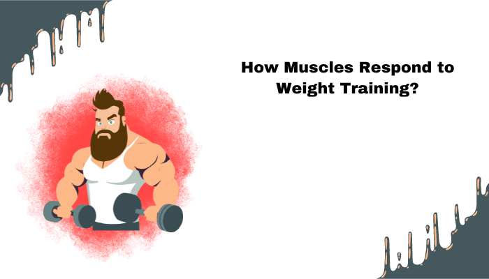 muscles adapt through weight training