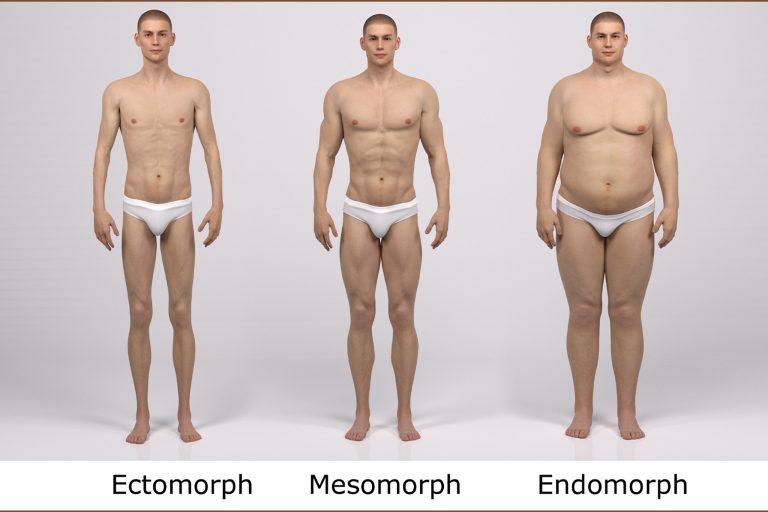 What Are The Different Male Body Types what-are-the-different-male-body-types